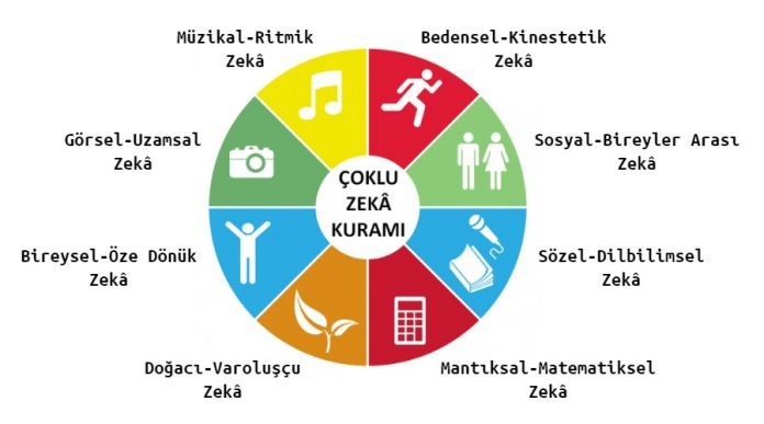 ÇOKLU ZEKA